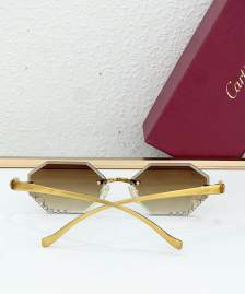 Picture of Cartier Sunglasses _SKUfw79280712fw